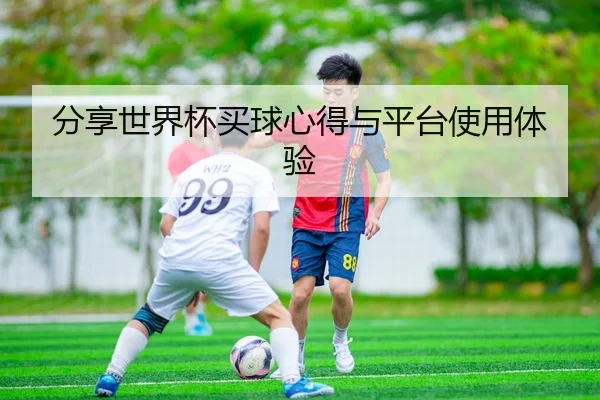 分享世界杯买球心得与平台使用体验