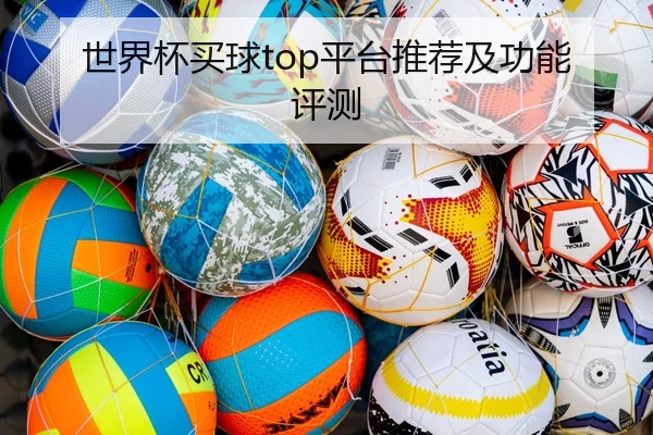世界杯买球top平台推荐及功能评测